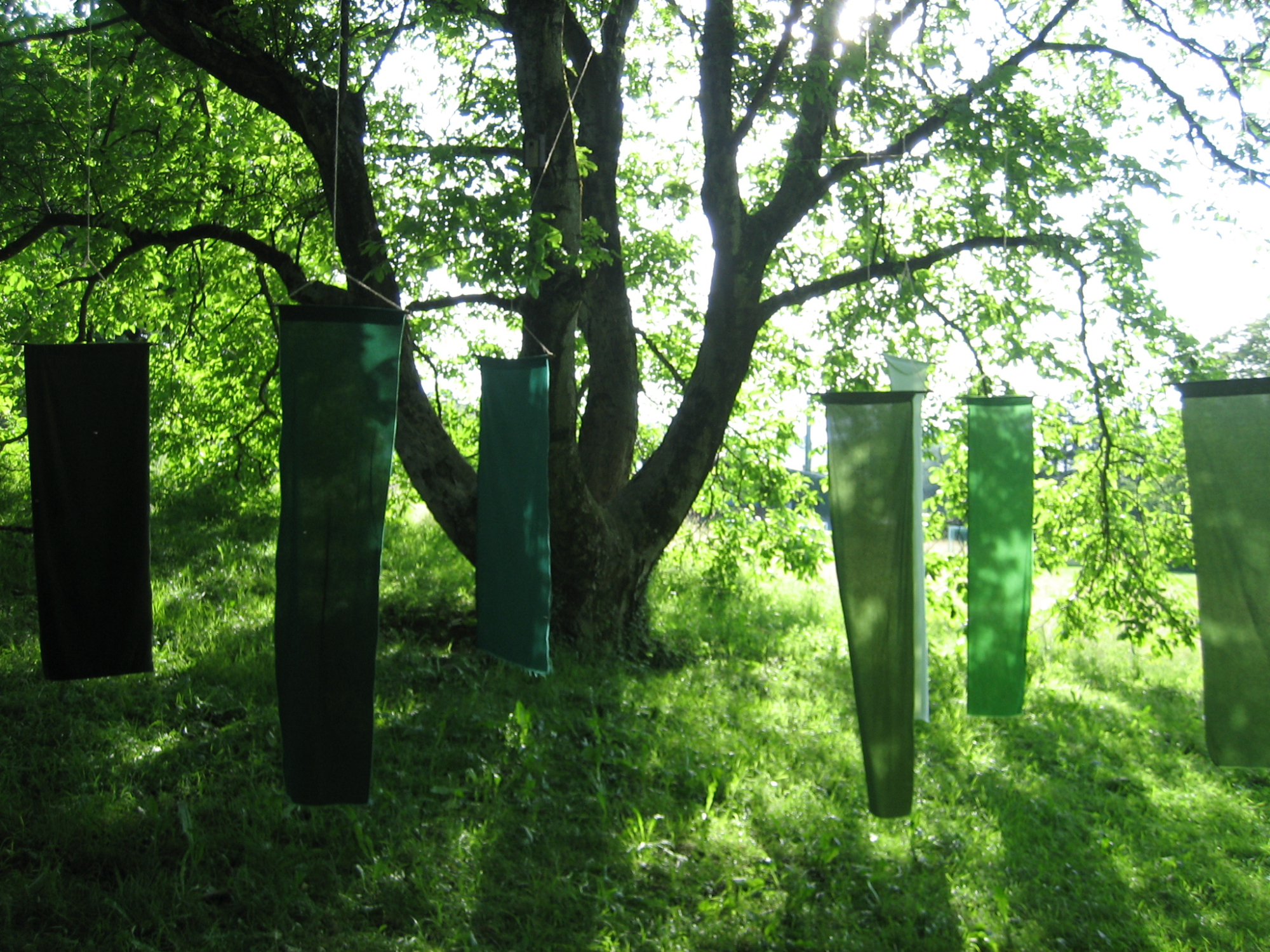 Bild zum Event: Ohren auf - Eine akustische Entdeckungsreise am Zürichberg